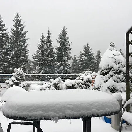 Terrassenhaus Waldblick 637