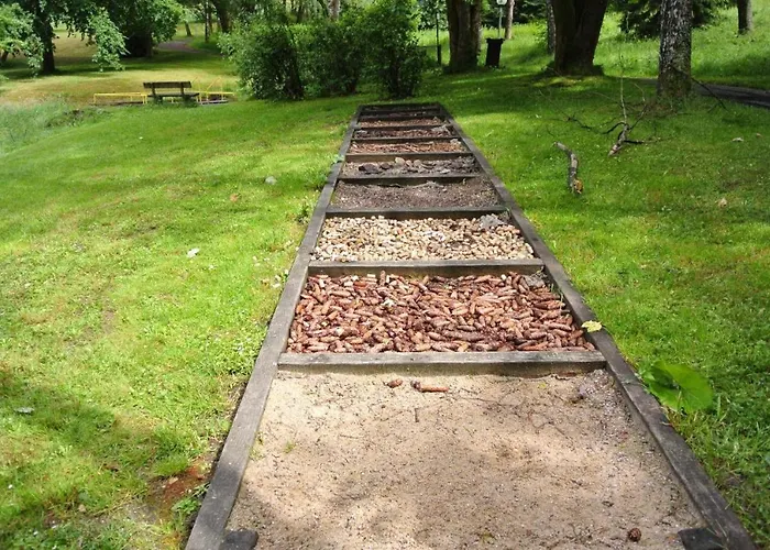 Terrassenhaus Waldblick 637 Daire